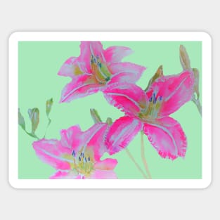 Pink Lily Flowers floral Watercolor Painting Mint Green Sticker